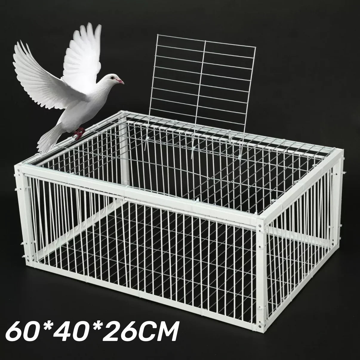 Cage à Oiseaux G