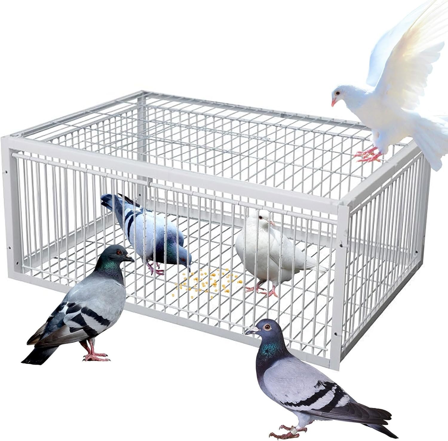 Cage à Oiseaux G